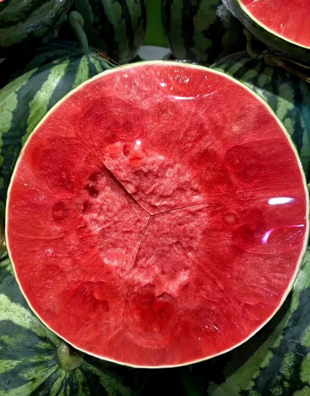 周杰伦吃到了这么好的瓜，我也想吃，哪里买？