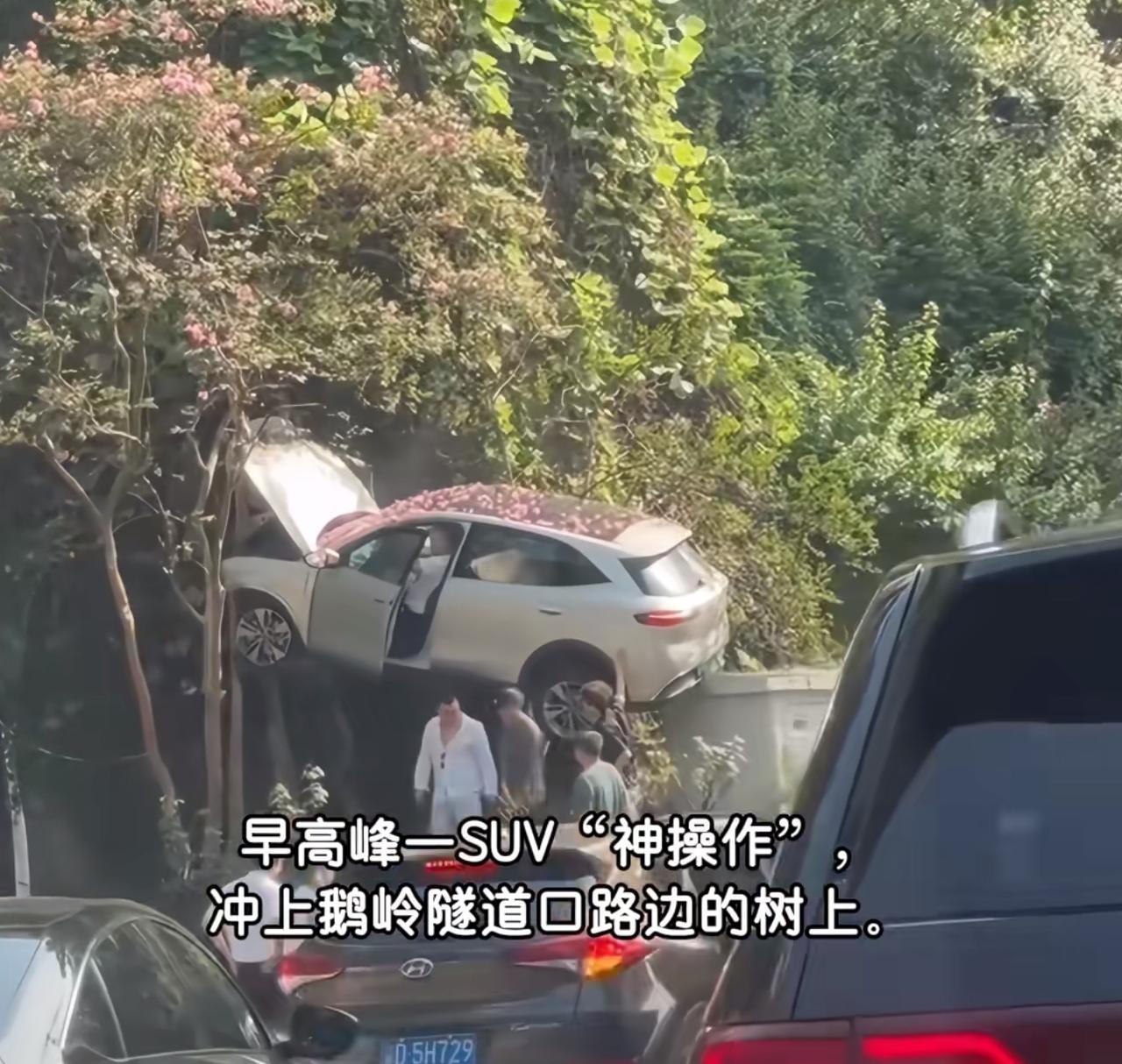 笑吐了，刷到汽车上树视频，差点以为在看特效。
昨天重庆这辆SUV直接“飞”上树了