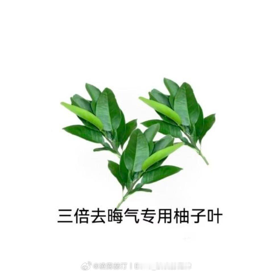 一把过[捂嘴哭] ​​​