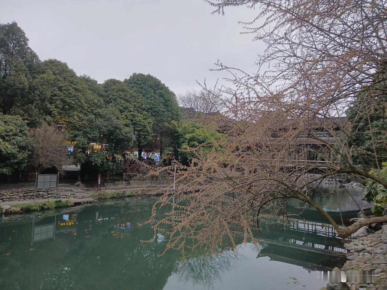 一张图晒我家的春色