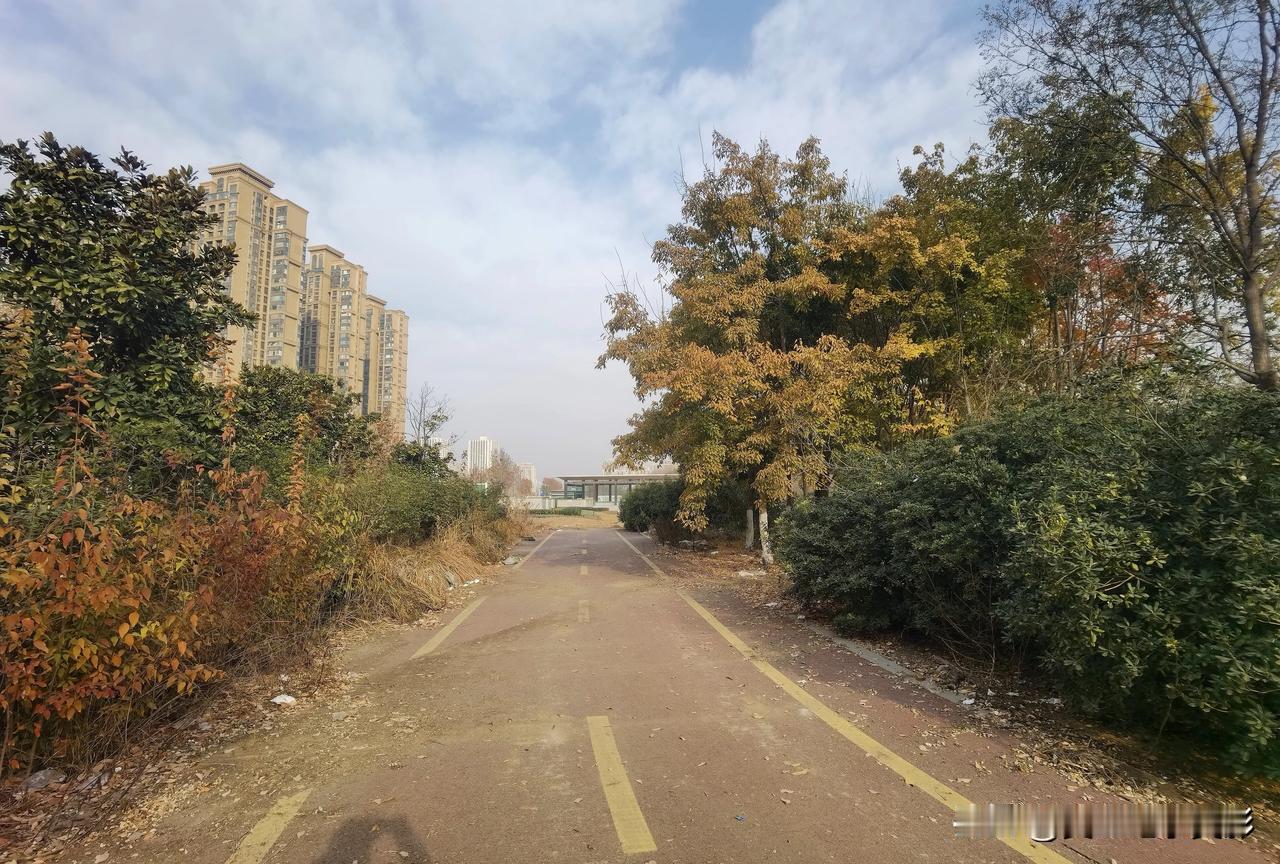 郑州这个生态文化公园，不仅湿地风光独具，更有你所不知道的东西

朋友们，这里是河