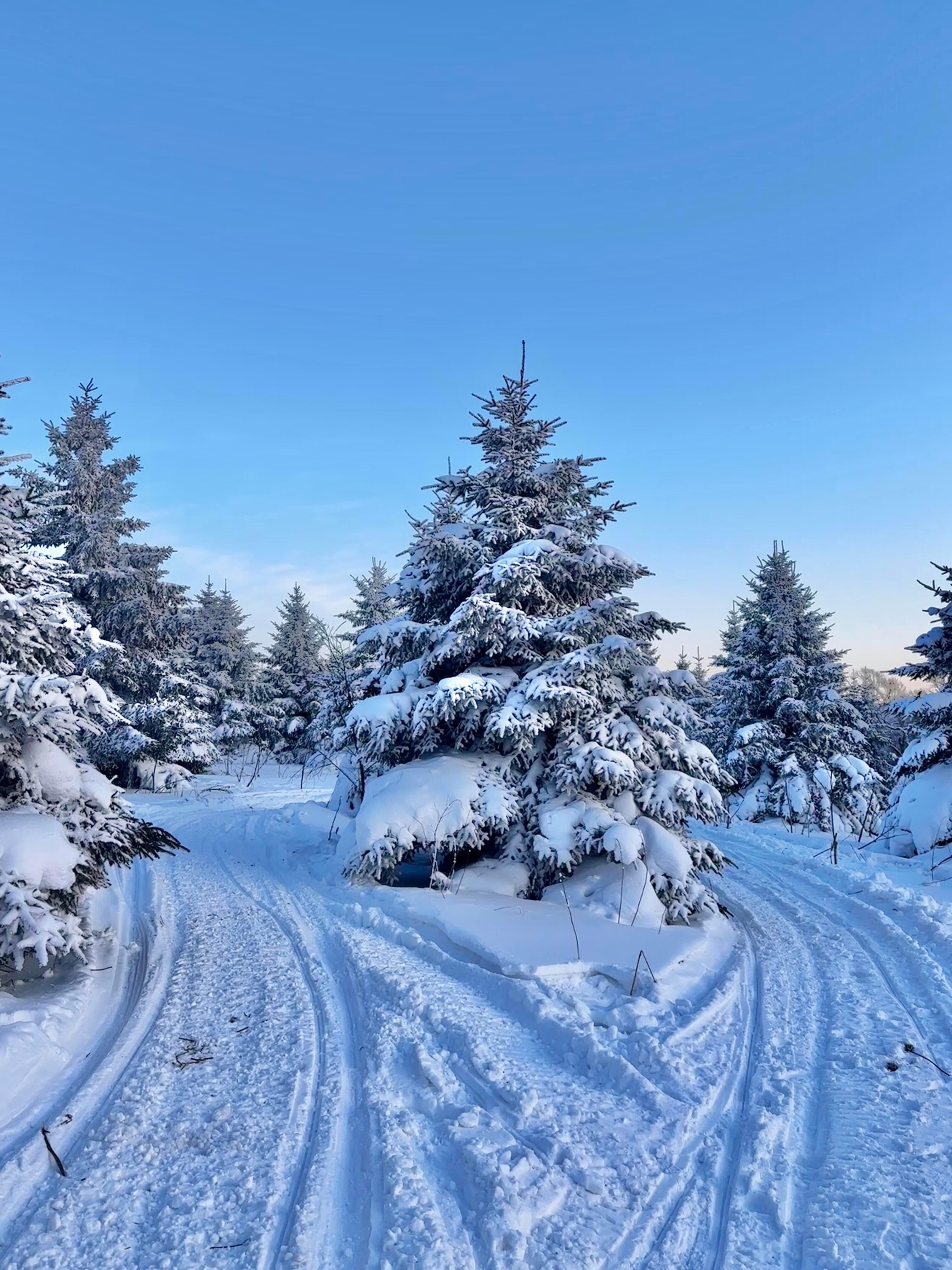 误以为去了芬兰，其实是长白山。 