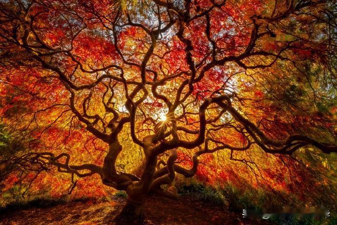 风光摄影作品
摄影师：Doug Shearer