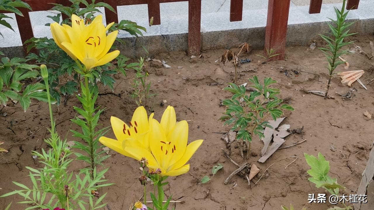 今天教师节，收到了许多学生的微信祝福语，千里之外，这些学生大多数已经工作，还有少