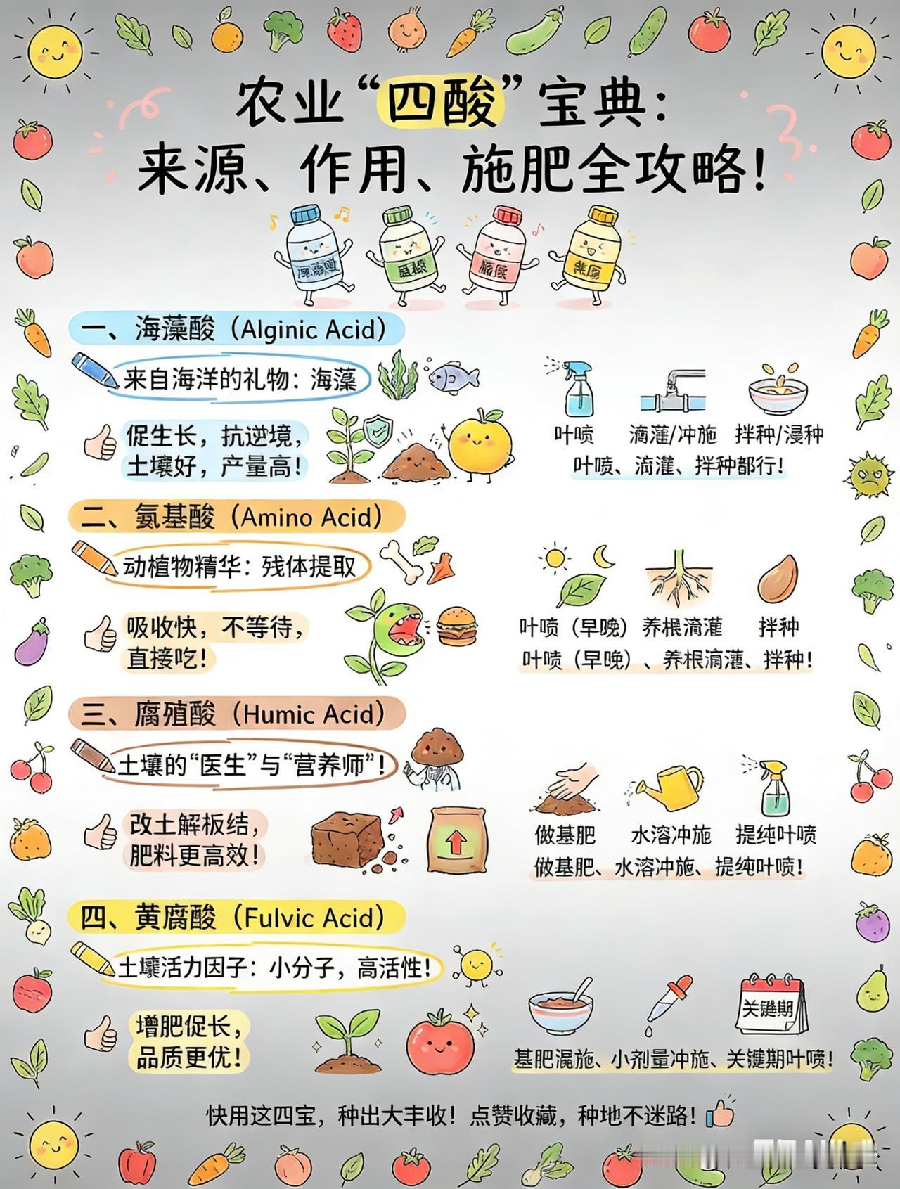 腐植酸，氨基酸，海藻酸，黄腐酸不同作用，合适使用有机肥料，水果有风味，蔬菜更可口