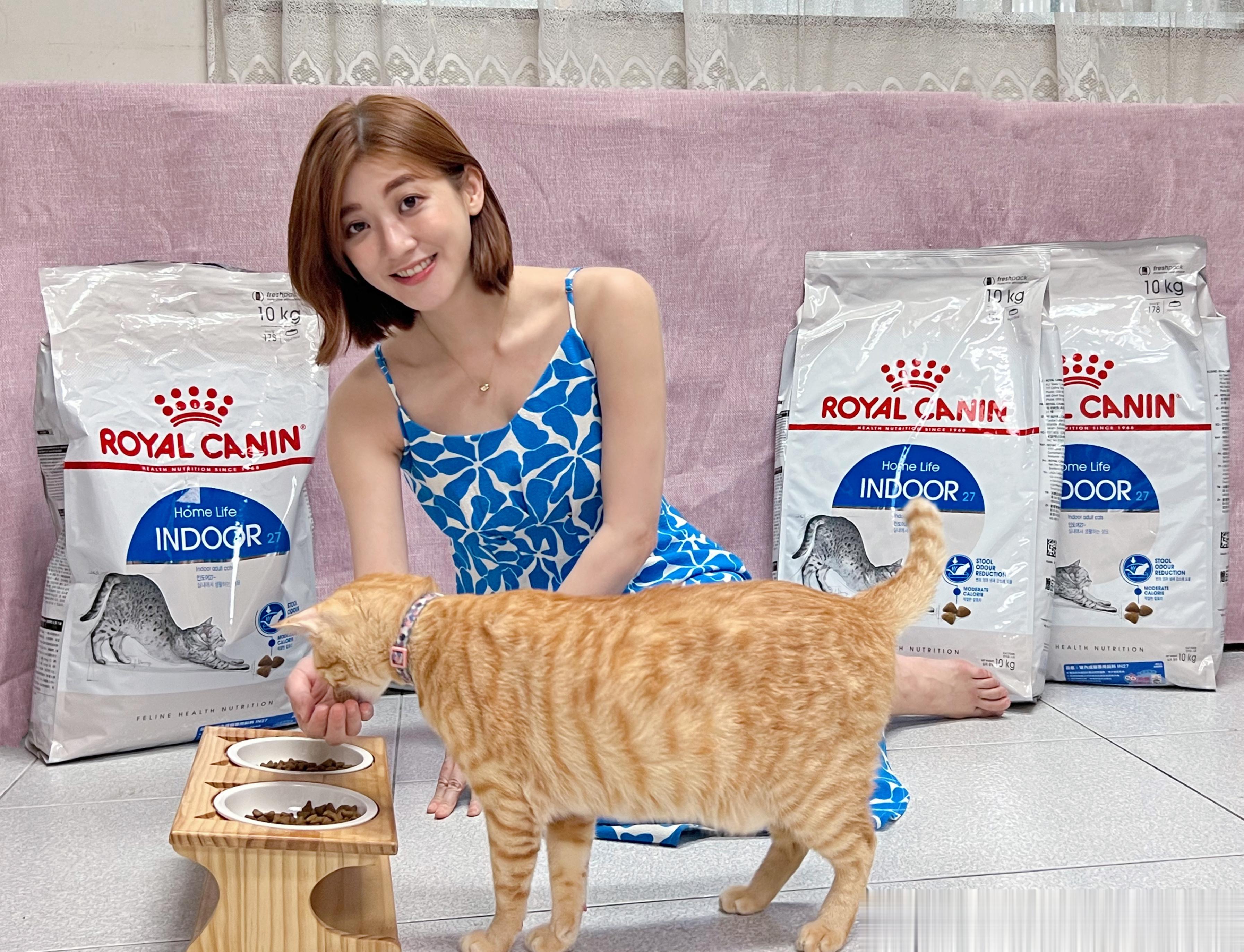 皇家飼料讚讚[憧憬][憧憬] ​​​