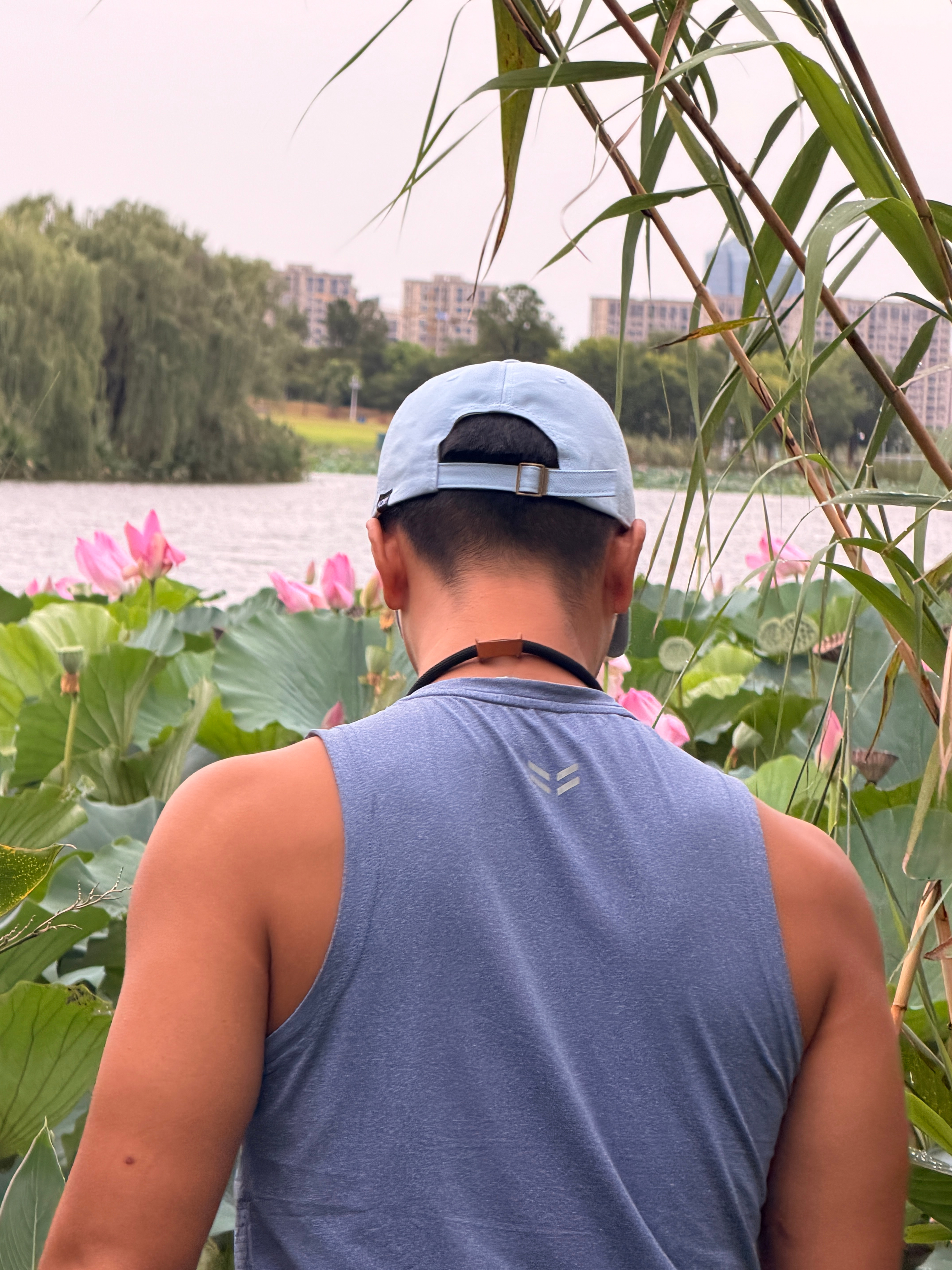 何仙姑🪷麦抠抠我的日常plog 南京·溧水幸庄湿地公园