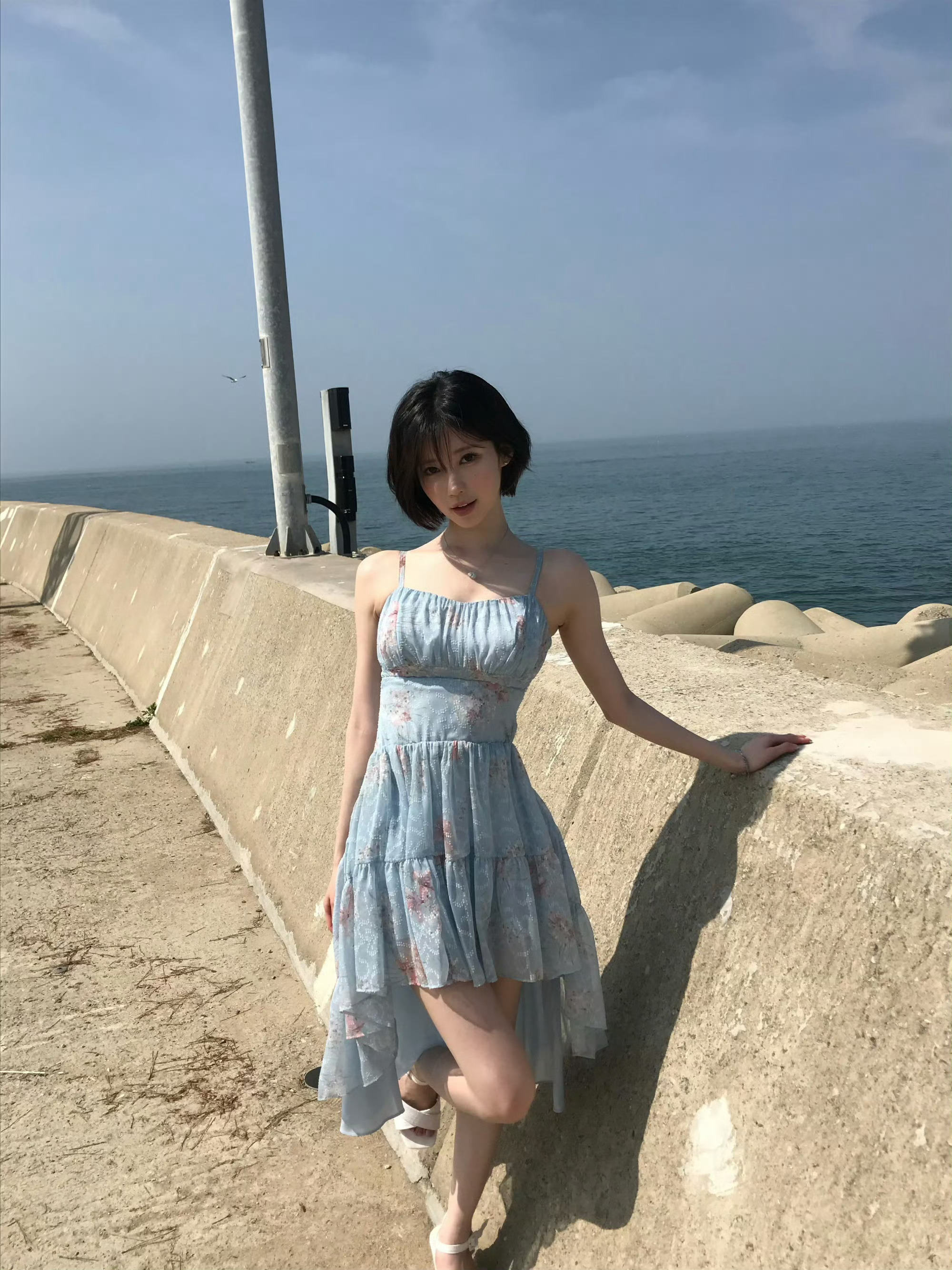 夏日头像大放送来的