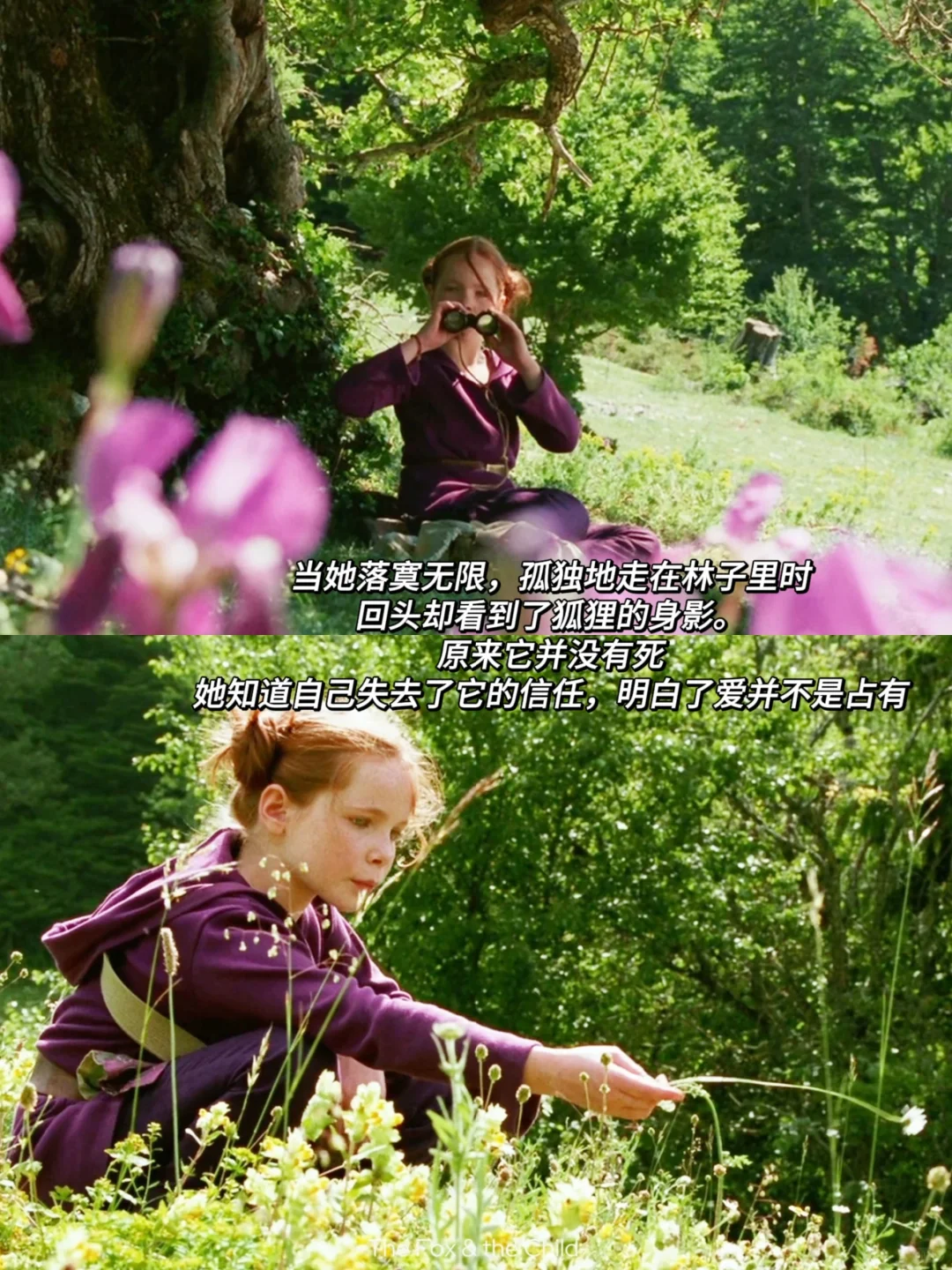 关于爱与占有的一部法式电影🎦