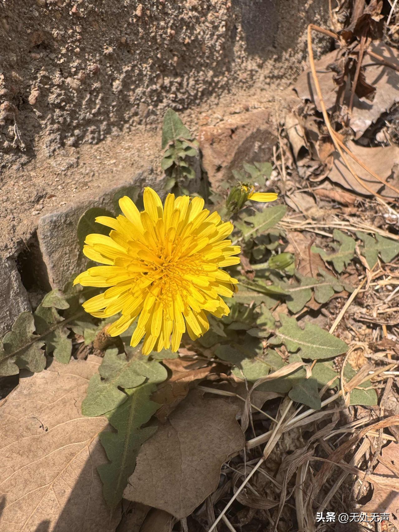 我：“老婆，我明天跟哥们儿吃个饭。”
老婆：“哪个哥们儿？”
我：“就老张，你认