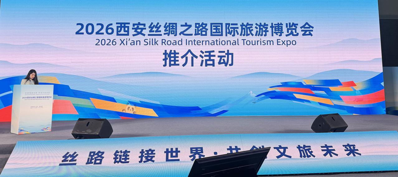 丝路盛会圈粉无数！大荔非遗+文旅演艺惊艳西安丝博会
    （李世居、刘爔楠）4