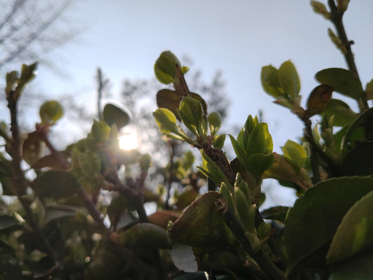 看到工资卡上的收入进帐，感觉春节加班也值了！
    在北京打工挣钱，不要只认那