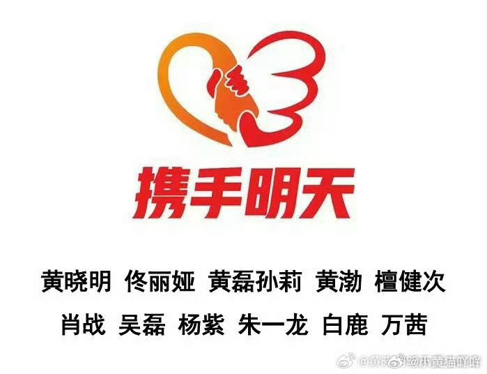 广西抗洪黄晓明、佟丽娅、黄磊孙莉、黄渤、檀健次、肖战、吴磊、杨紫、朱一龙、白鹿、
