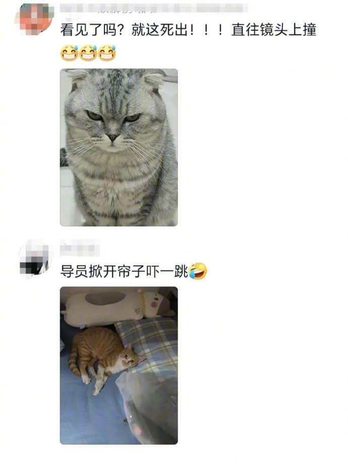 宿舍养的小猫咪是怎么被发现的 ​​​