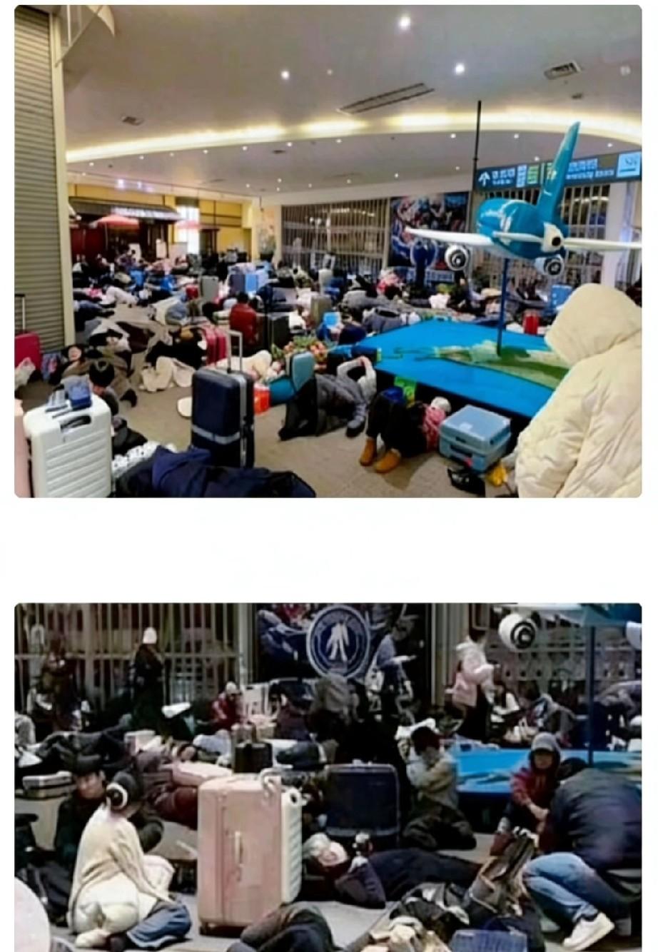 雪崩前的天气预报没人看，

退票窗口排到机场外，

北海道的雪到底埋了什么？
