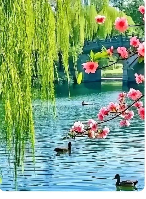 〔欣赏图片〕