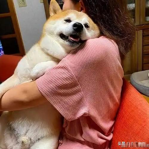 人家很多女人当孩子养的小猫小狗，你给打死？人家不和你急才怪那？骂你都是轻的，不给
