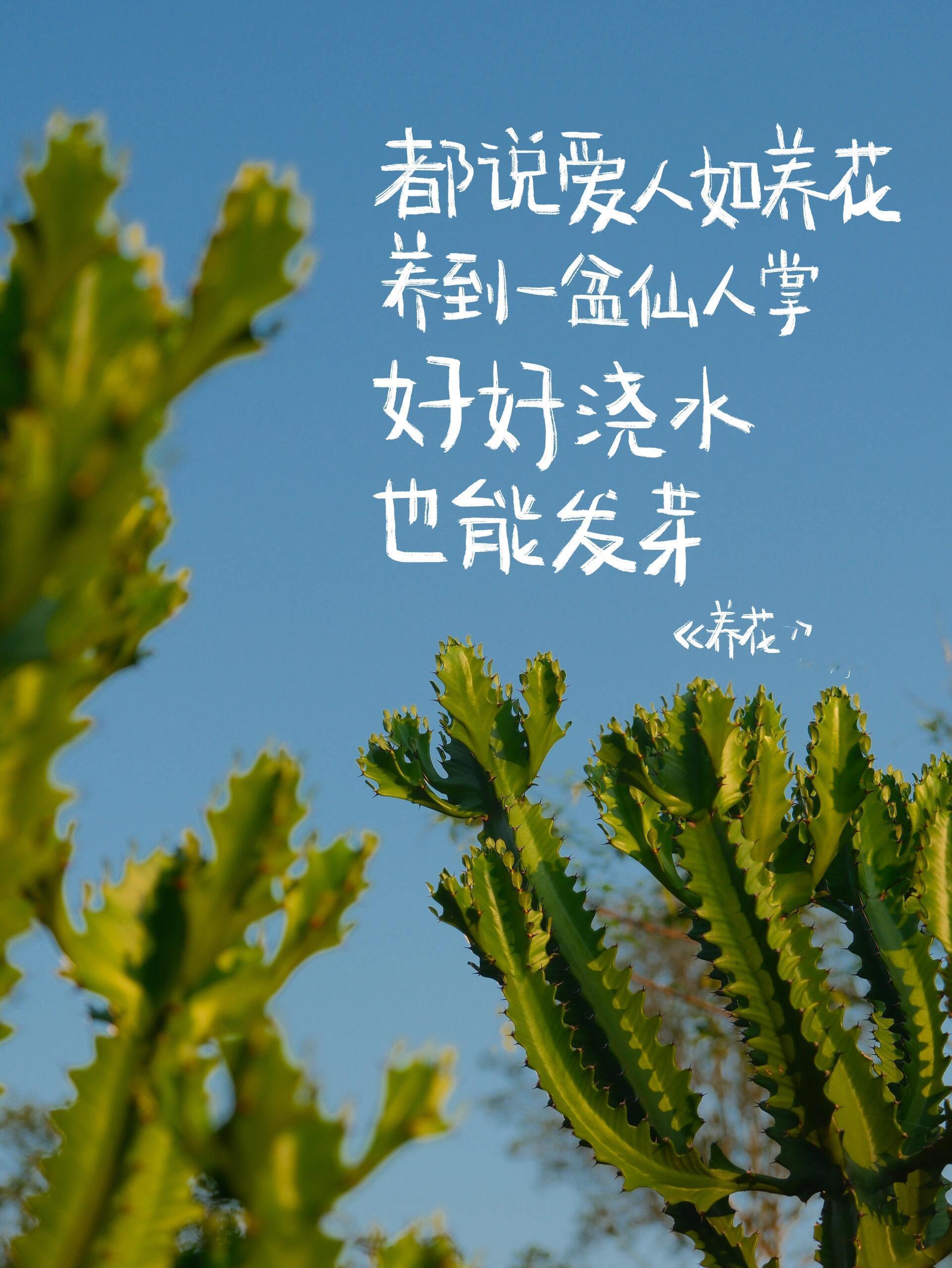 世界说起来很大，中国人说起来很多，但每个人迫切要处理和对付的，其实就身边周围那么