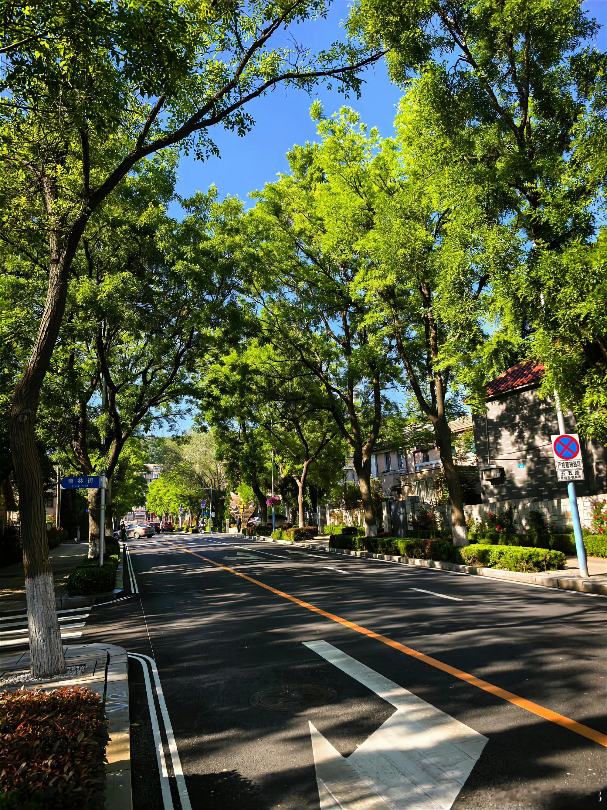 “该拿什么来形容夏天” 