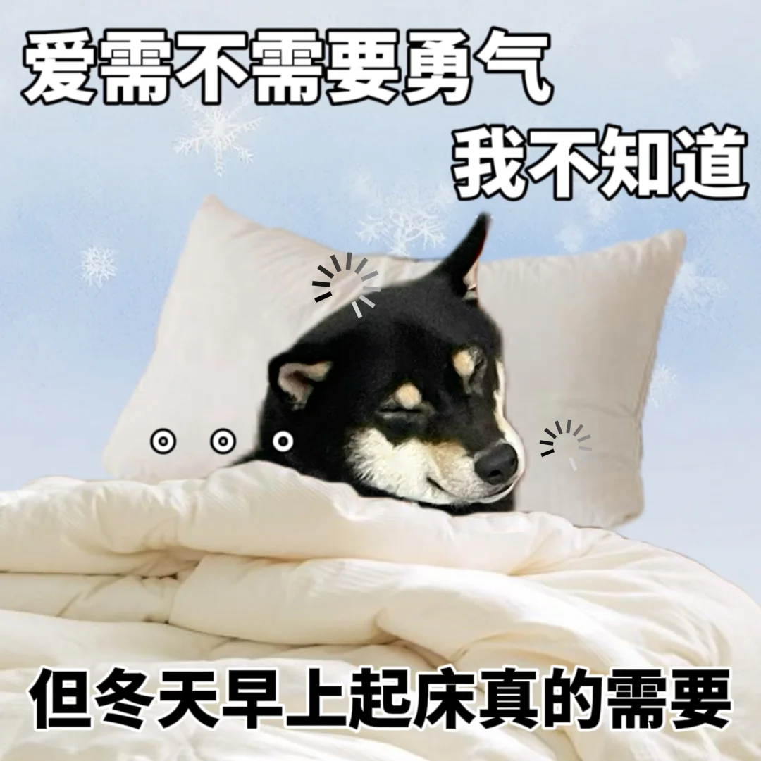 冬日赖床综合征|欢迎加入睡教😴