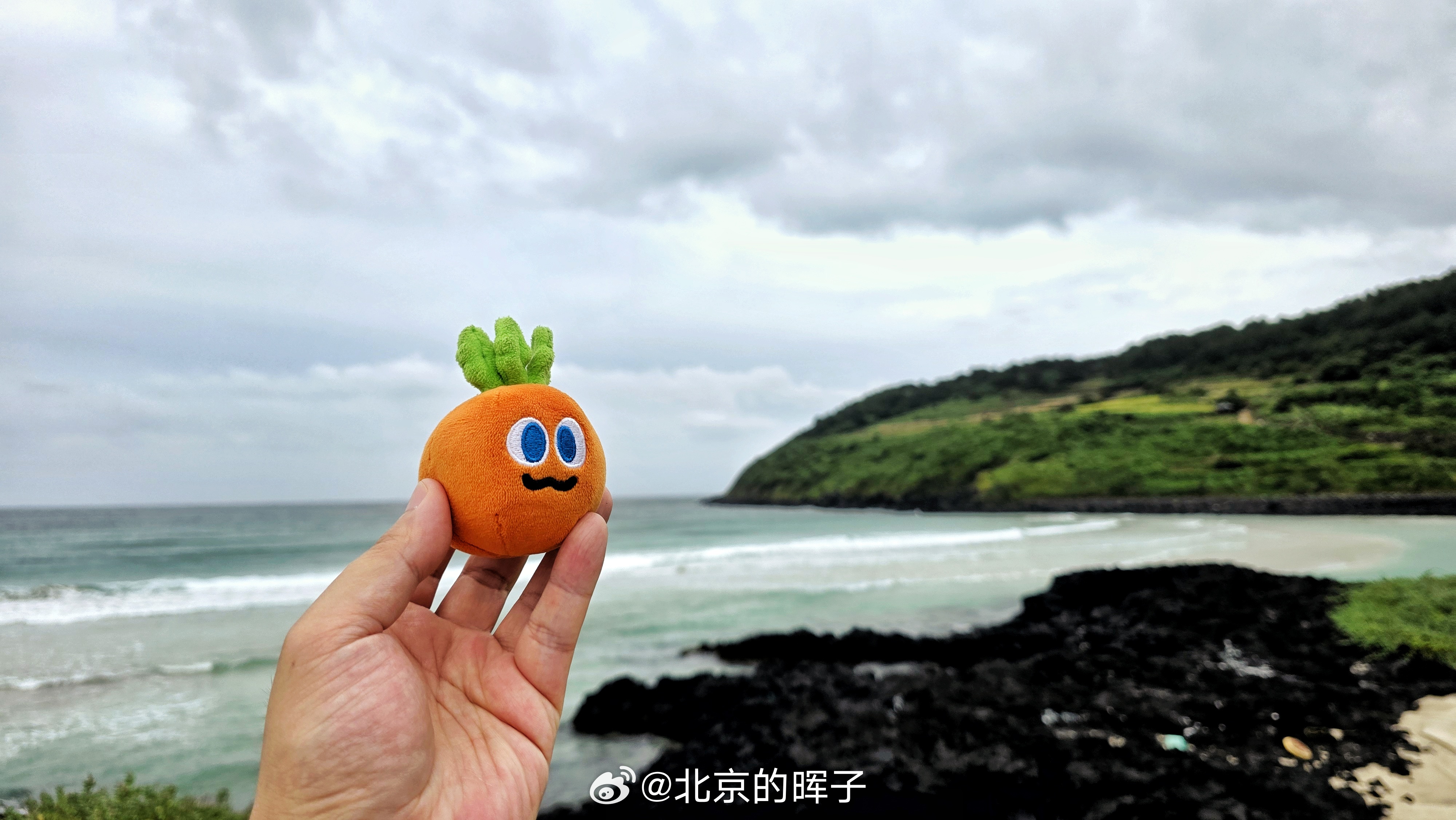 台风白海豚没登陆就倒水风浪越大鱼越贵🐬 韩国·咸德海水浴场