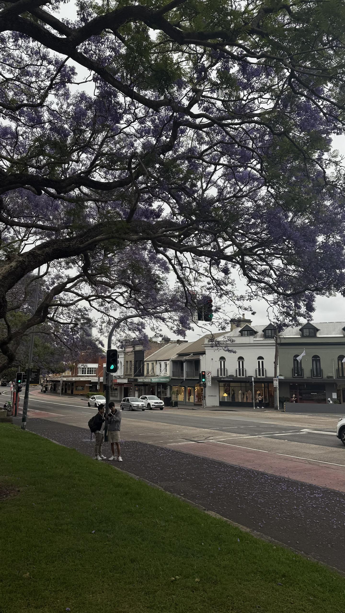 阴天 满满的幸福感