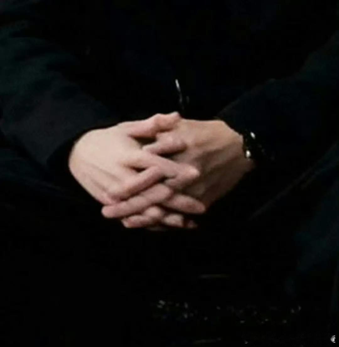 任嘉伦工作室是AI出图的吧，把任嘉伦的手都p错了！