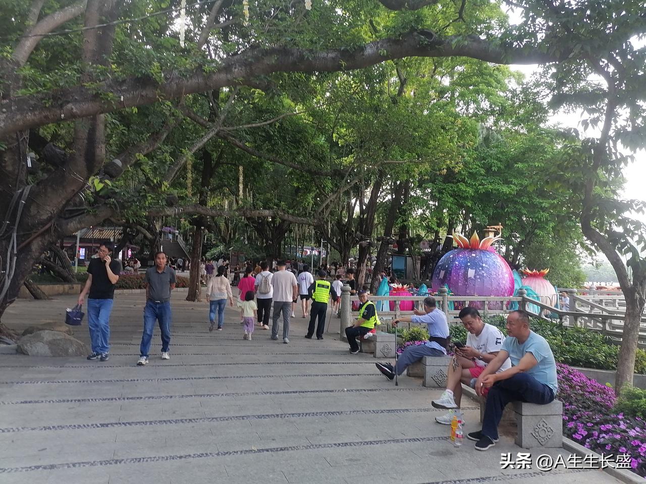 大树底下好乘凉，茂密的树荫下，有的小憩一下，有的在直播和自拍，也有的漫步其间！