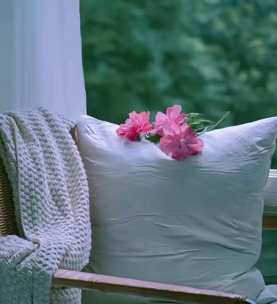 一位社会学家说:：“现在最严重的问题，已经不是00后不结婚， 90后不生娃，而是