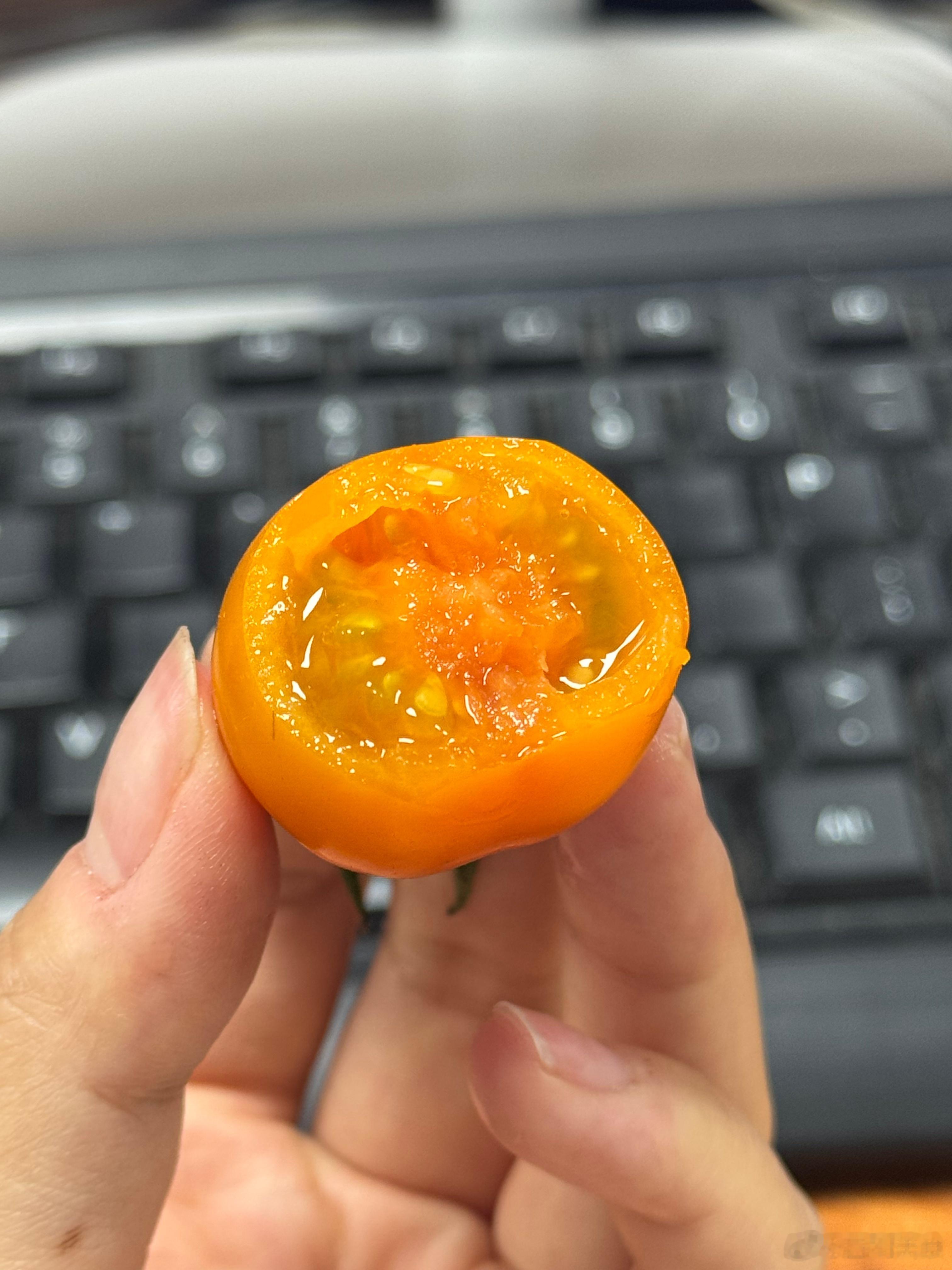 这款小番茄的口感好棒皮薄几乎没啥存在感，果肉细腻化渣早上吃了几个这快到中午了还有