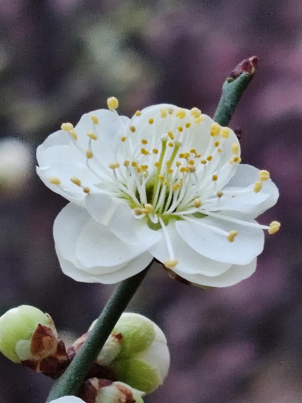 死要面子活受罪，何必自寻烦恼呢？卸下伪装、回归本真，日子反而更轻松自在。生活中，