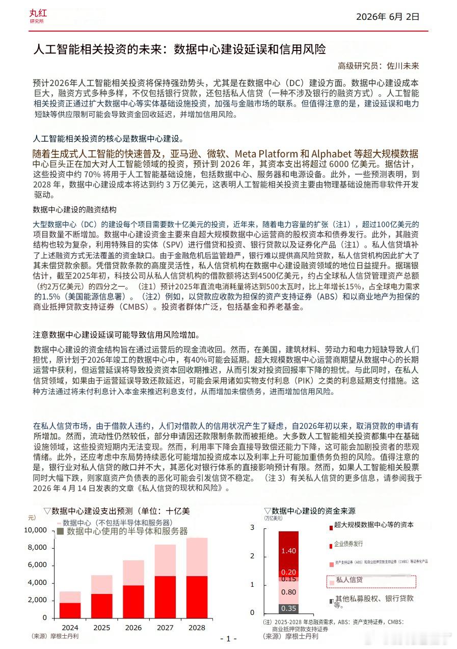 丸红经济研究所  主任研究员　佐川 未来  AI相关投资的去向：数据中心建设延误