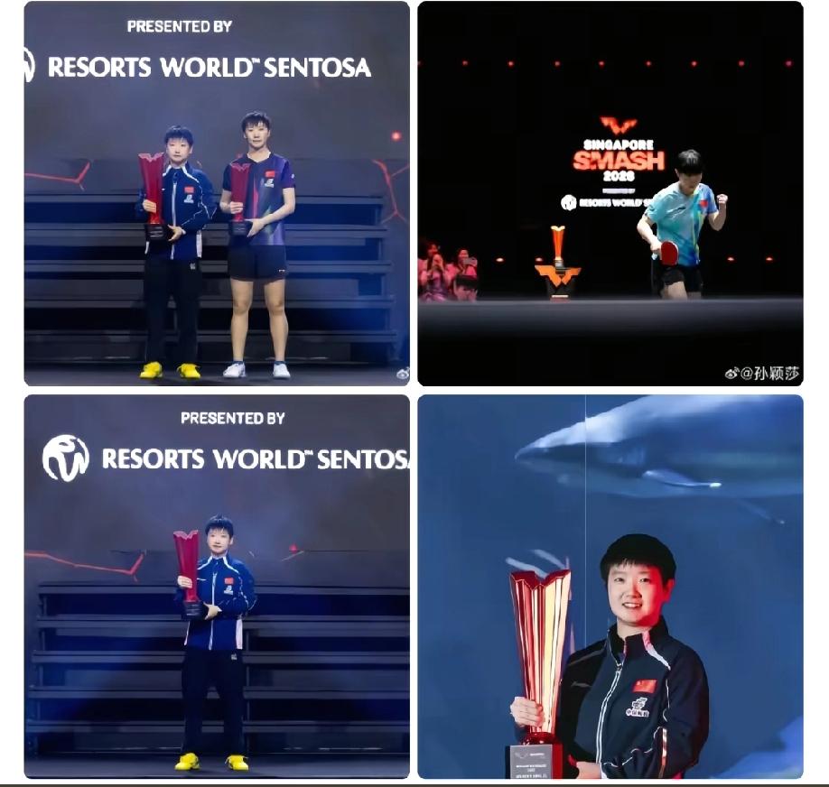 孙颖莎是懂人情世故的，她赛后发文，让所有人都意外了，她发的照片不是和王楚钦的冠军