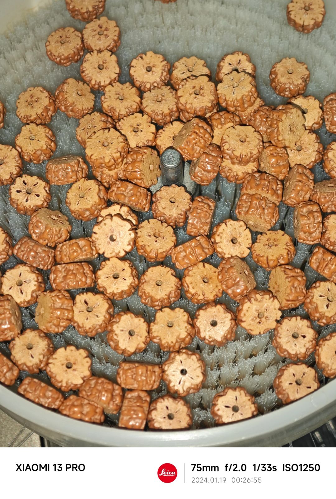 NO.368 就机刷呗，就是玩儿