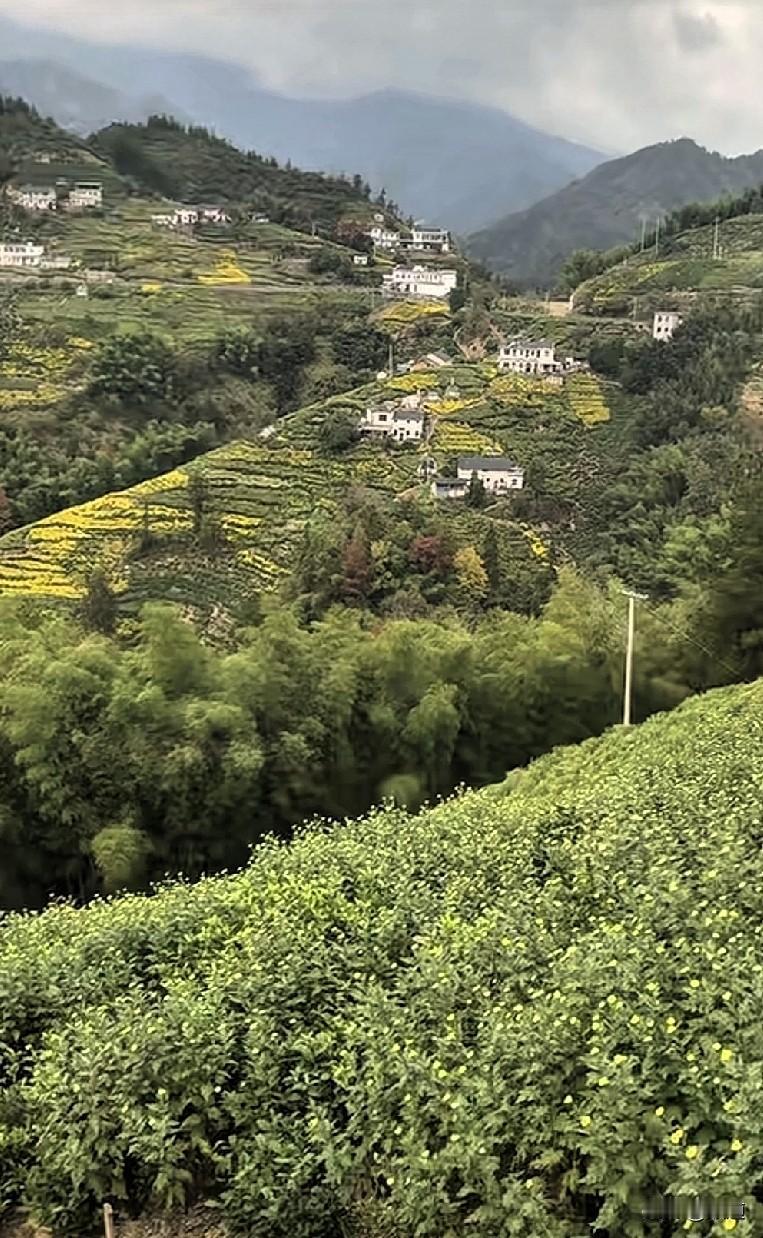 一年四季中哪个季节的景色最美北方春天最美，南方初冬天最美。