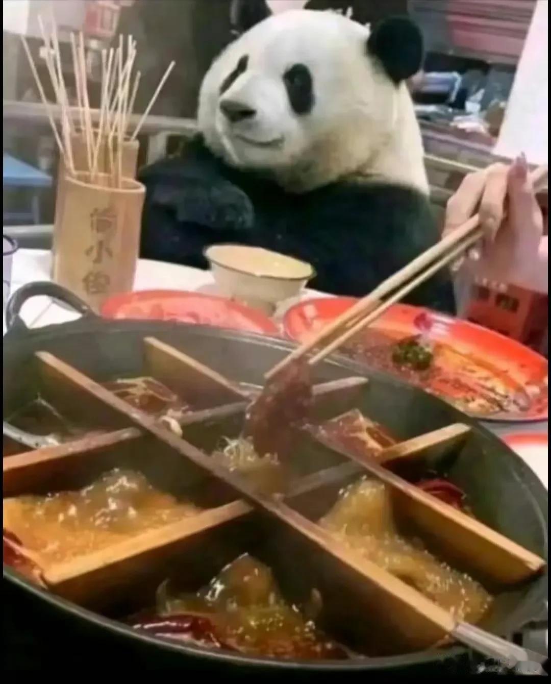 [我想静静]哈哈，国宝就是不一样