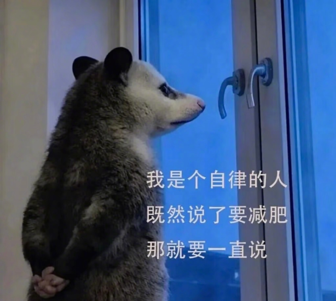 减脂餐的尽头是麻辣烫这届网友吃麻辣烫先用AI看热量谁懂啊！自从参加了那个科学减重