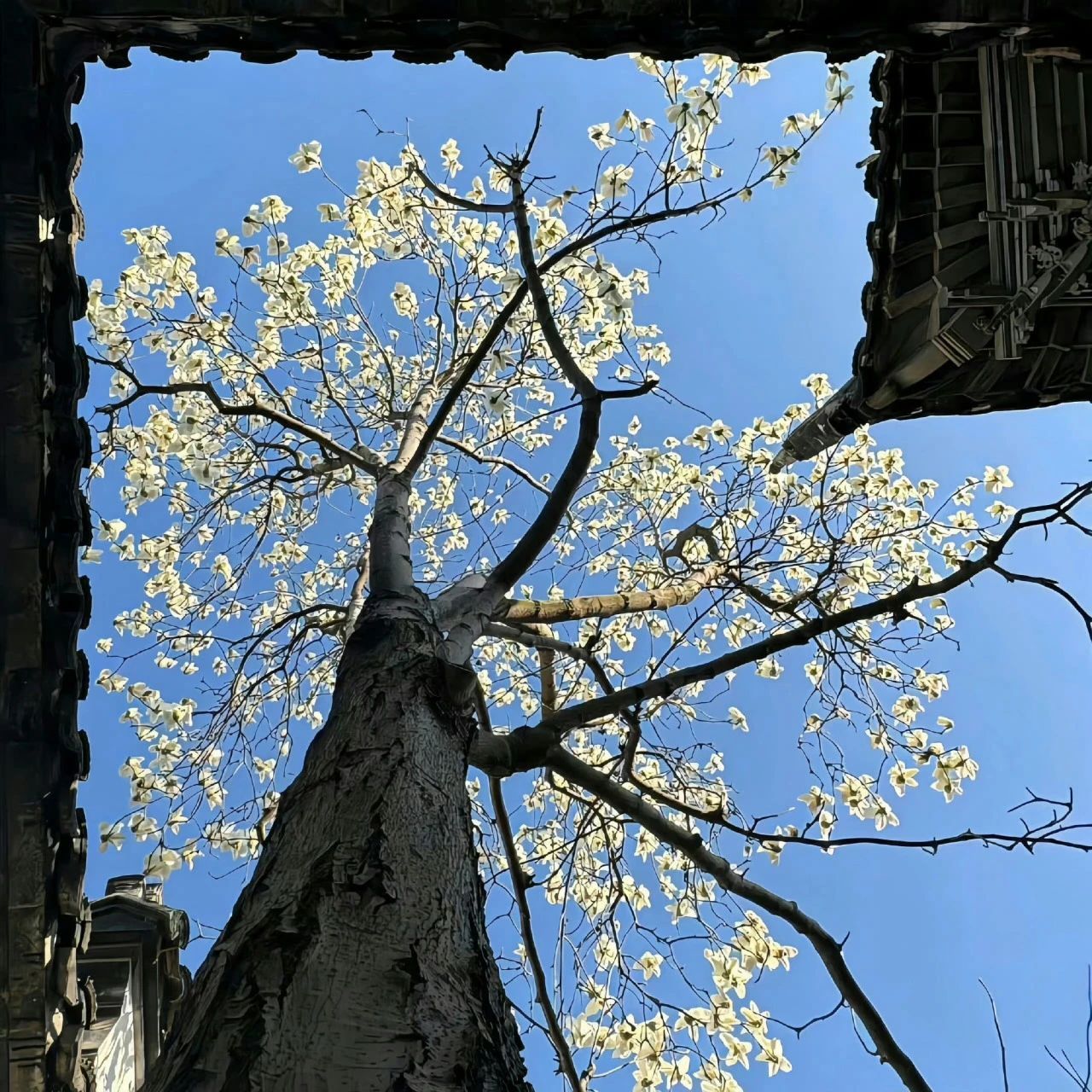 灯笼挂在暗处，不是为了照亮整个世界，而是让想找它的人能看见。你也是，在那些无人问