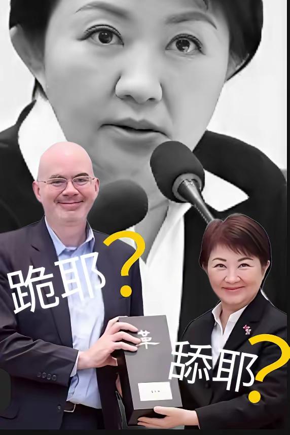 邱毅教授提议台中市长卢秀燕在年底卸任后前往中国大陆访问。但在我看来，鉴于卢秀燕当
