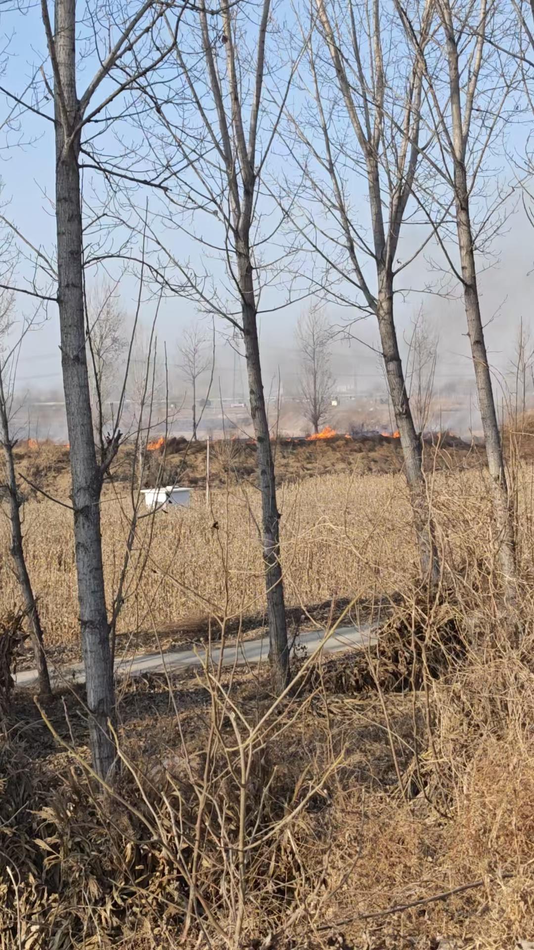 生活随手拍一拍天干物燥注意防火