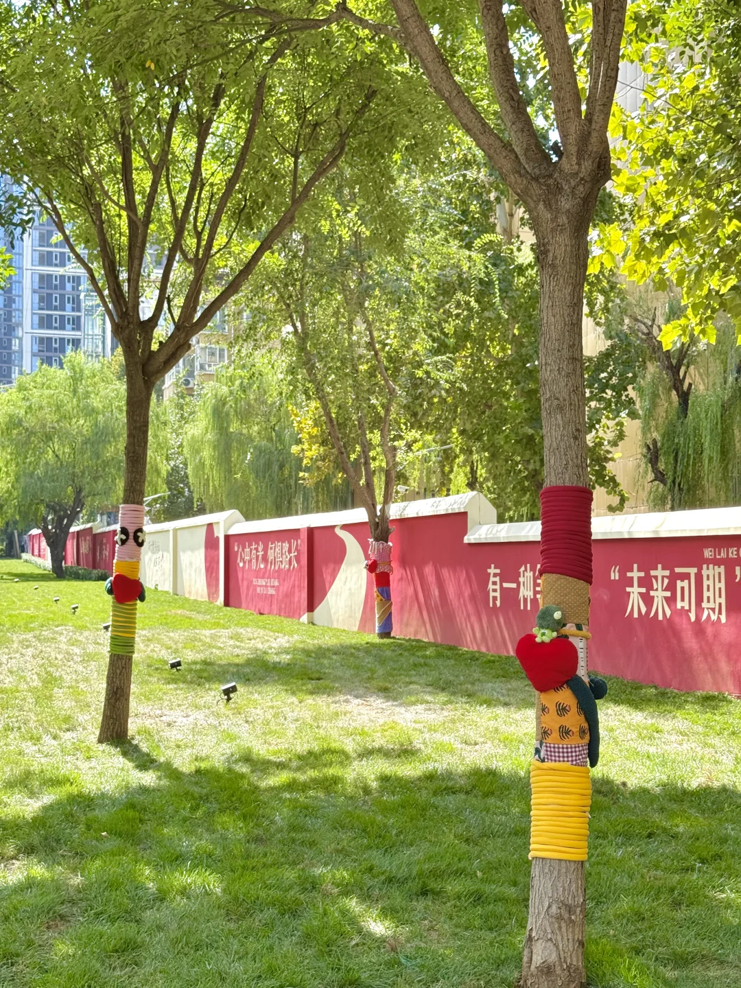 济南CBD新晋街区！！每棵树都萌化了。。！！！🥹🥹