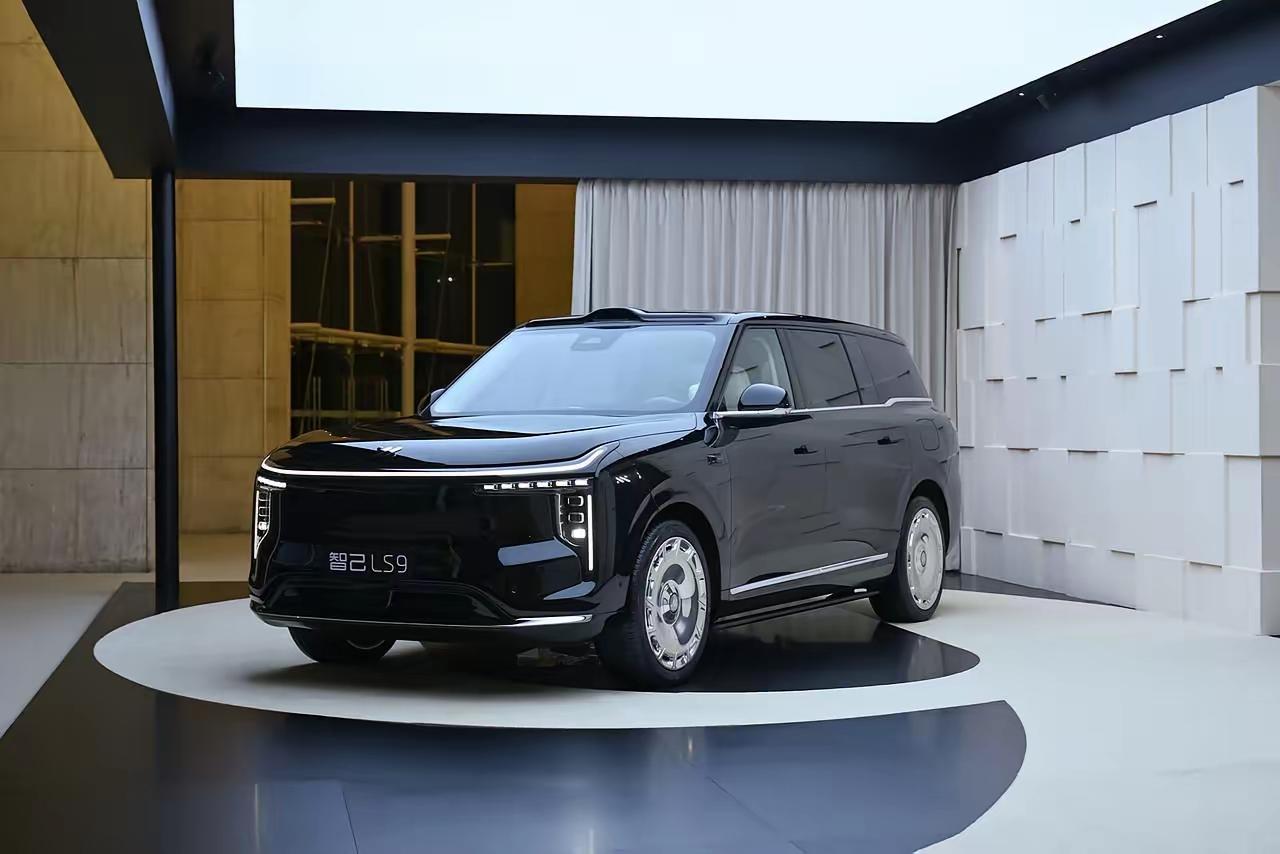 中国5大电池生产商：
1、宁德时代：中国，全球市占率38%
2、比 亚 迪： 中