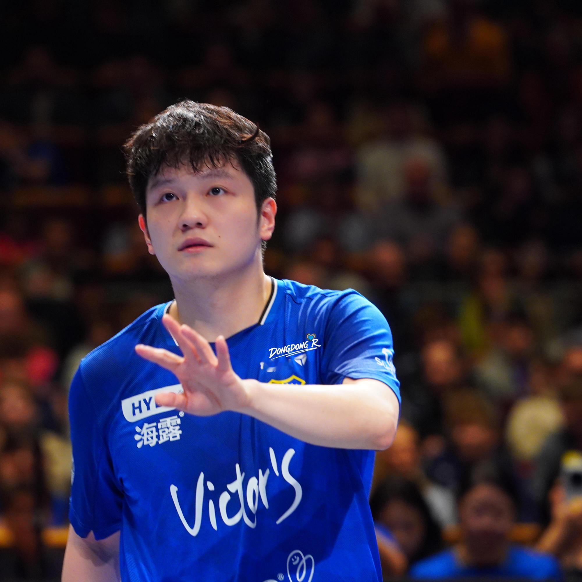 FZD别问德甲为啥突然爆火，实力从来都是最硬的流量密码，不服不行！ 樊振东加油