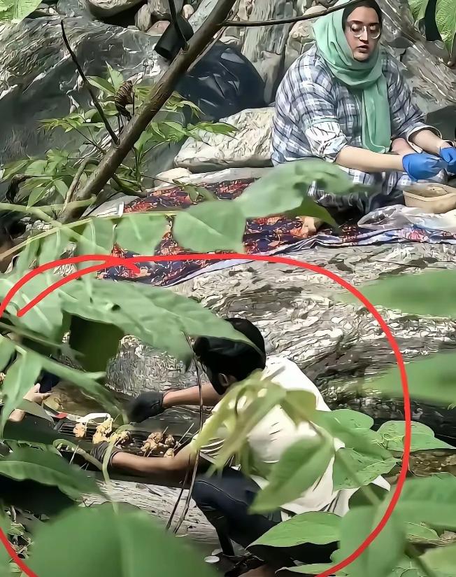 秦岭防火区印度游客烧烤事件，后续有了。人找到了，已经传唤调查，正式处罚结果还在走
