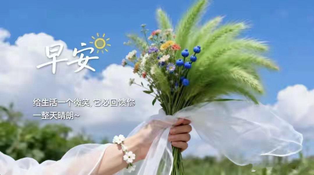 MicroTEC光模块用量行业格局极简解析一、各规格光模块MicroTEC单支用