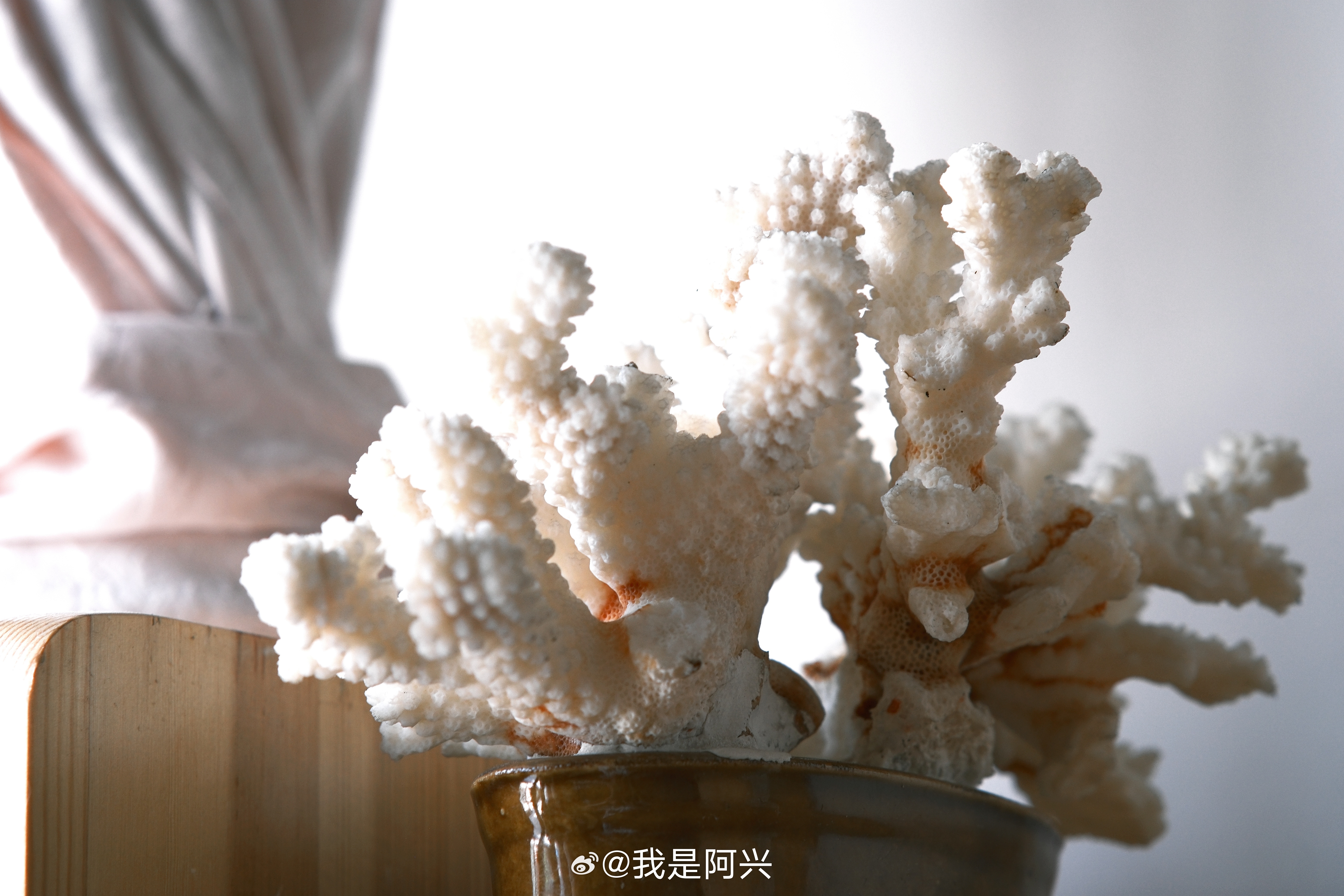 好久没用相机拍照了，感觉技术生疏了。 ​​​