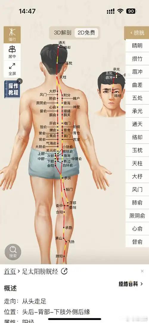 大全集：穴位药性揭秘！！！ 医品阁 解表类  一、合谷配复溜—麻黄­  二、大椎
