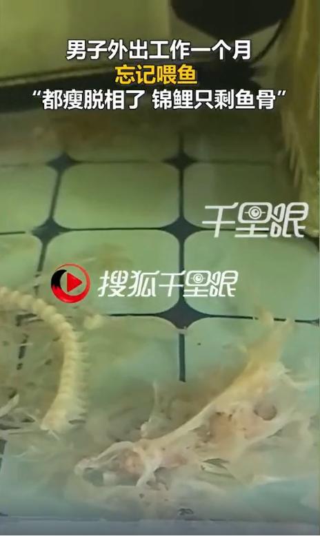 2026 年 7 月 5 日，山东省临沂市兰山区市民李先生结束为期一个月的外地出