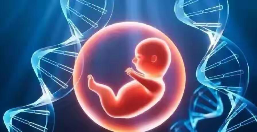 终于定了！2025年生育保险迎巨变，住院生娃个人基本不用掏钱

国家传来重磅消息