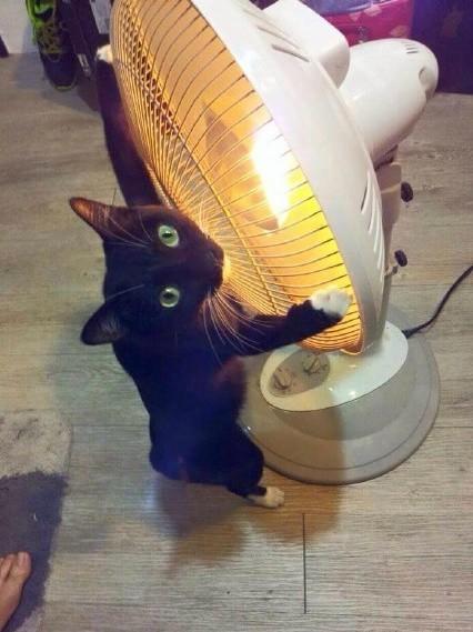 你要是敢动我的小太阳，我就跟你拼命！